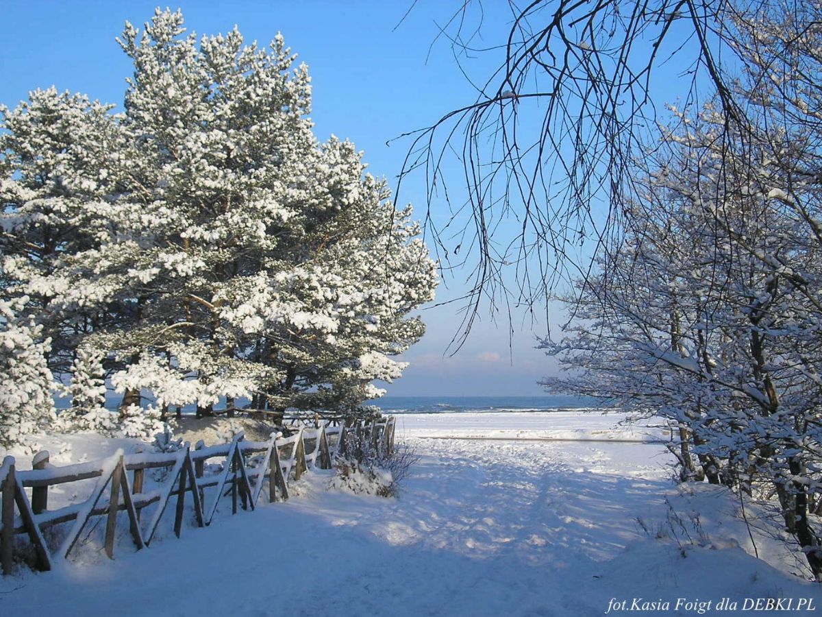 Zimowa plaża w Dębkach z delikatnym śniegiem na wydmach