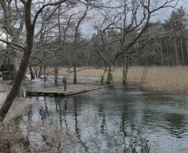 Piaśnica zalewa tereny &ndash; wylew rzeki