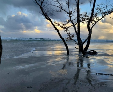 Mroźne wody Piaśnicy w Dębkach