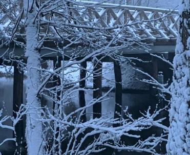 Dębki zimą &ndash; natura i spok&oacute;j